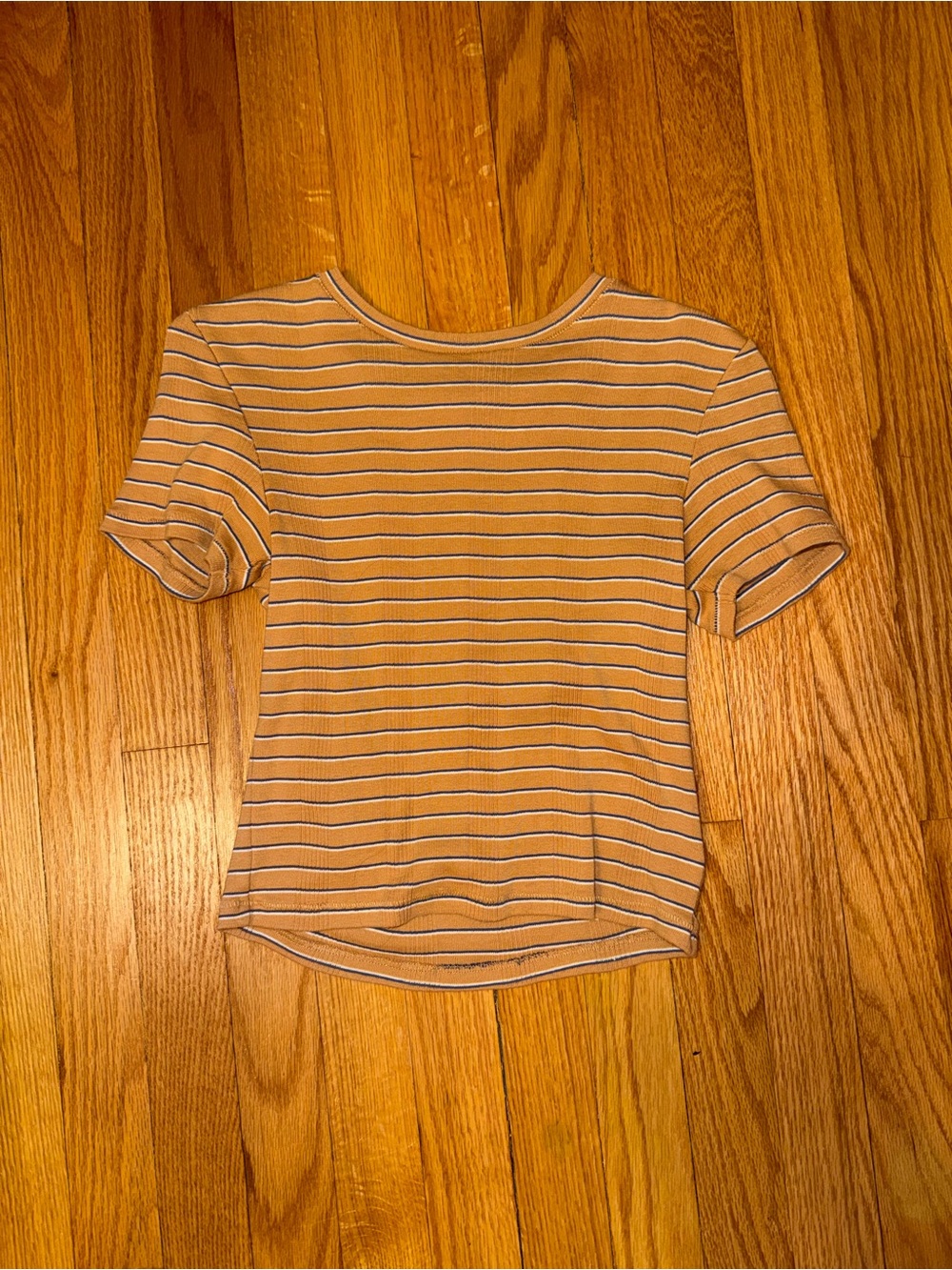 American Eagle Outfitters Tan and White Striped Short Sleeve Tee